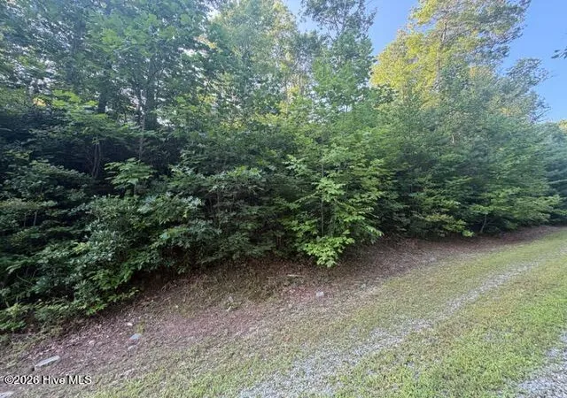 Photo 3 of Land for sale at 13 Little Choga Rd, Topton, NC 28781 | MLS# 100595519 | Listing updated on 2026-09-28
