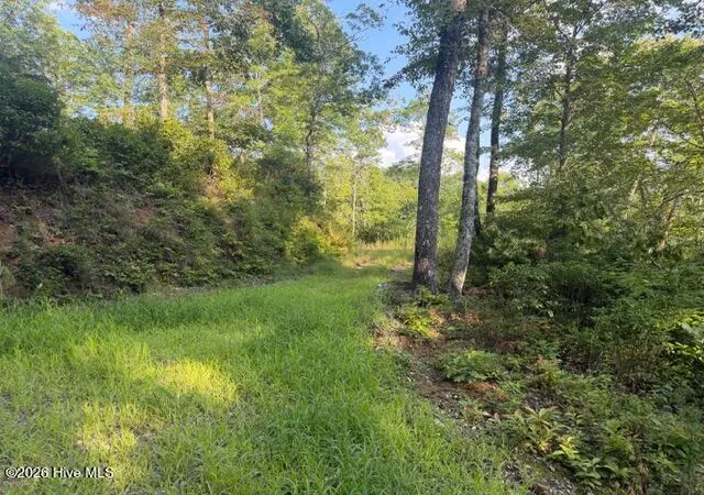 Photo 4 of Land for sale at 13 Little Choga Rd, Topton, NC 28781 | MLS# 100595519 | Listing updated on 2026-09-28
