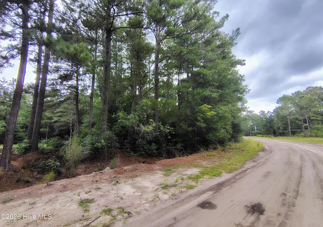 Photo 1 of Land for sale at Lot 45 Near 519 Deer Ln, Tabor City, NC 28463 | MLS# 100600263 | Listing updated on 2026-09-01