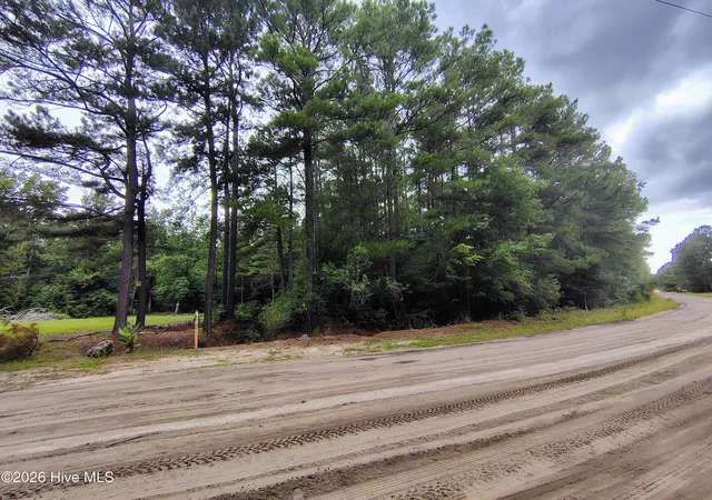 Photo 2 of Land for sale at Lot 45 Near 519 Deer Ln, Tabor City, NC 28463 | MLS# 100600263 | Listing updated on 2026-09-01