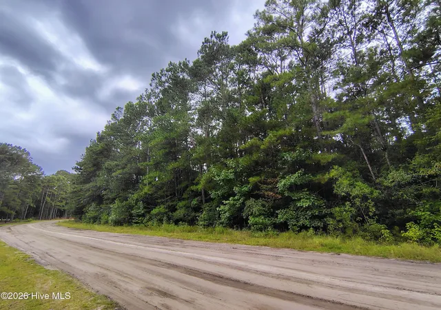 Photo 3 of Land for sale at Lot 45 Near 519 Deer Ln, Tabor City, NC 28463 | MLS# 100600263 | Listing updated on 2026-09-01