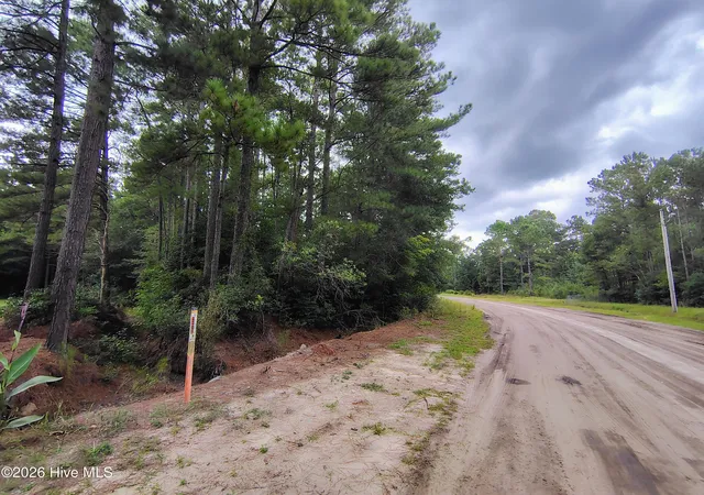Photo 3 of Land for sale at Lot 45 Near 519 Deer Ln, Tabor City, NC 28463 | MLS# 100600263 | Listing updated on 2026-09-01