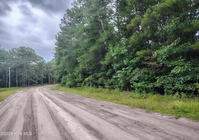 Photo 4 of Land for sale at Lot 45 Near 519 Deer Ln, Tabor City, NC 28463 | MLS# 100600263 | Listing updated on 2026-09-01