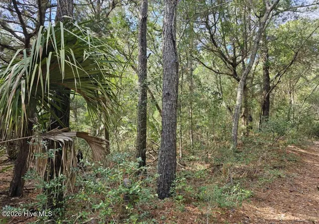 Photo 3 of Land for sale at 5 Musket Ct, Bald Head Island, NC 28461 | MLS# 100557461 | Listing updated on 2026-03-02