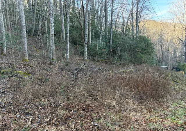 Photo 1 of Land for sale at 00 Choga Trl, Topton, NC 28781 | MLS# 98523962 | Listing updated on 2026-07-30