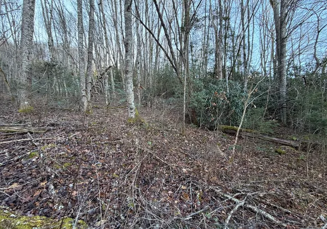 Photo 5 of Land for sale at 00 Choga Trl, Topton, NC 28781 | MLS# 98523962 | Listing updated on 2026-07-30
