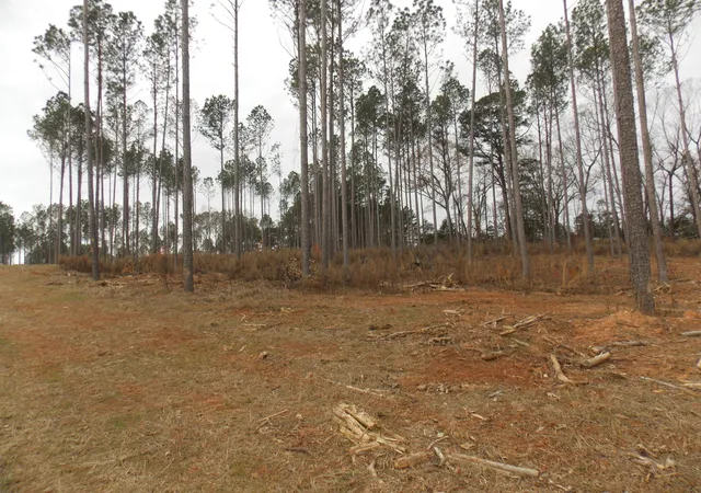 1st image of 2 E Mosley Rd, Lincolnton, GA 30817 | MLS# 98254462