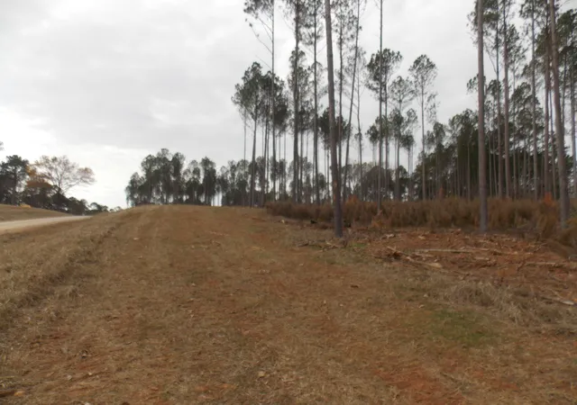 2nd image of 2 E Mosley Rd, Lincolnton, GA 30817 | MLS# 98254462