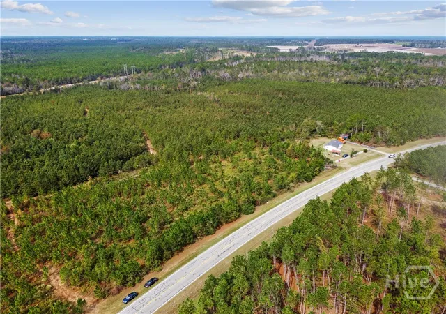 Homes for sale in Soperton, GA | 0 Hwy 297   Tracts 2,3,4 &5, Soperton, GA 30457 | MLS# SA343066