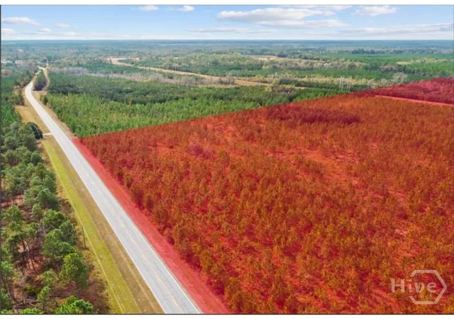 Homes for sale in Soperton, GA | 0 Hwy 297 - Tracts 2,3,4 &5, Soperton, GA 30457 | MLS# SA343066