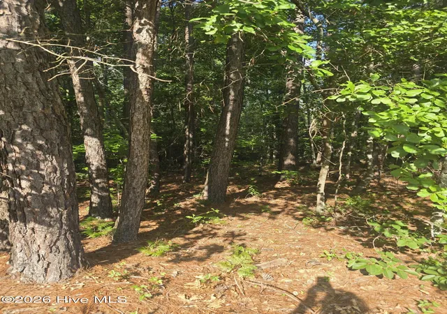 Photo 3 of Land for sale at 3454 Lewis Rd, Augusta, GA 30909 | MLS# 100580885 | Listing updated on 2026-08-18