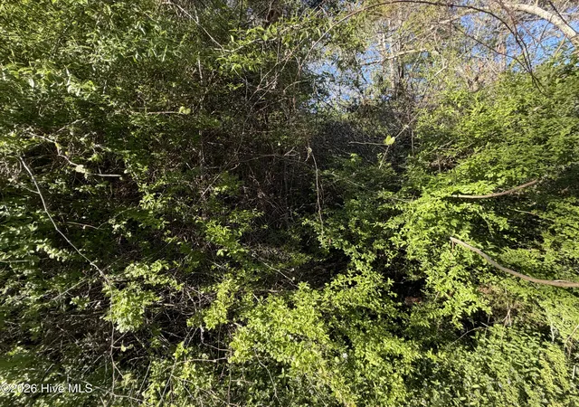 Photo 3 of Land for sale at 0 Mcgowan Rd, Jacksonville, NC 28540 | MLS# 100590759 | Listing updated on 2026-07-28