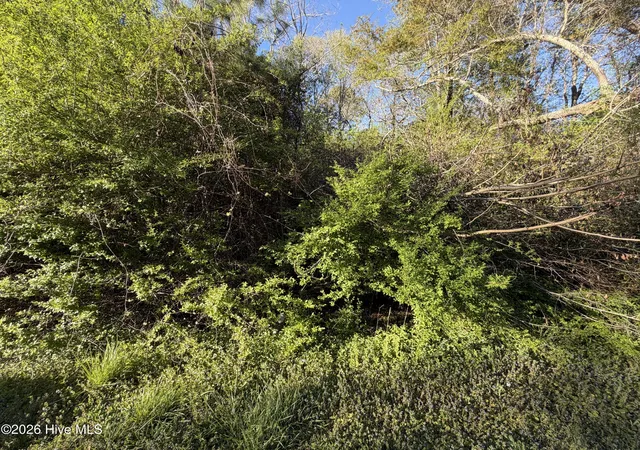 Photo 3 of Land for sale at 0 Mcgowan Rd, Jacksonville, NC 28540 | MLS# 100590759 | Listing updated on 2026-07-28