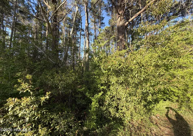 Photo 4 of Land for sale at 0 Mcgowan Rd, Jacksonville, NC 28540 | MLS# 100590759 | Listing updated on 2026-07-28