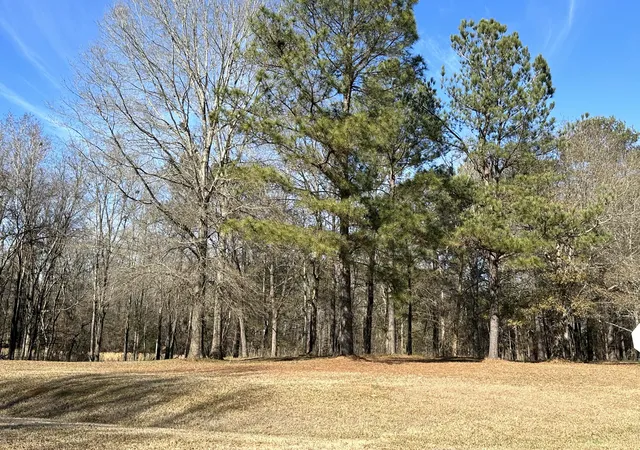 Homes for sale in Waynesboro, GA | 37 Crestridge Dr (lot 37) Dr, Waynesboro, GA 30830 | MLS# 98224612