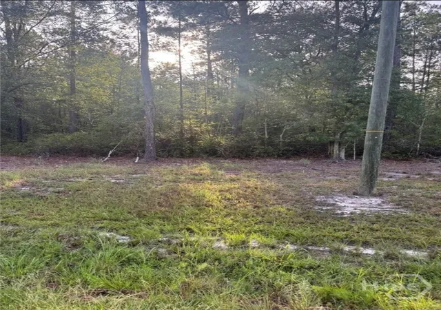 Photo 11 of Land for sale at 0 Brogdon Rd, Guyton, GA 31312 | MLS# SA362574 | Listing updated on 2026-09-04