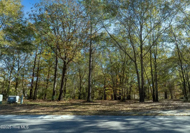 Photo 4 of Land for sale at 167 River Ridge Dr, Wallace, NC 28466 | MLS# 100593367 | Listing updated on 2026-08-03