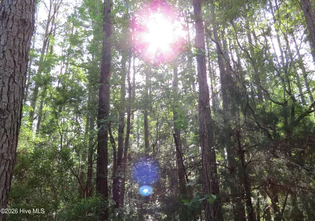 2nd image of 0 Teal Rd, Merritt, NC 28556 | MLS# 100576747