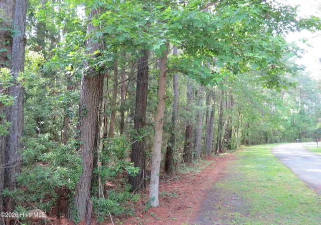 3rd image of 0 Teal Rd, Merritt, NC 28556 | MLS# 100576747
