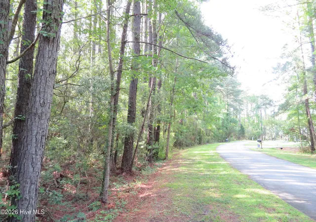 4th image of 0 Teal Rd, Merritt, NC 28556 | MLS# 100576747