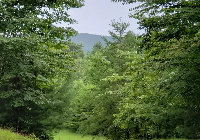 Photo 3 of Land for sale at 37 Toccoa Ln, Murphy, NC 28906 | MLS# 100593780 | Listing updated on 2026-08-18