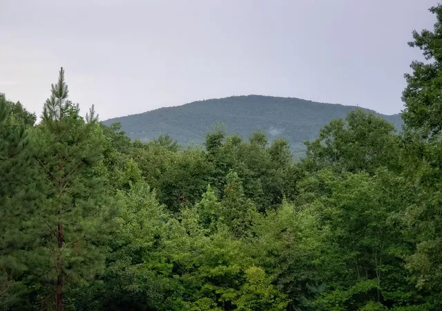 Photo 4 of Land for sale at 37 Toccoa Ln, Murphy, NC 28906 | MLS# 100593780 | Listing updated on 2026-08-18