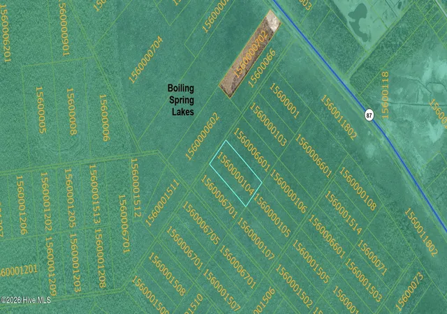 Photo 1 of Land for sale at 79 Unknown, Boiling Spring Lakes, NC 28461 | MLS# 100599900 | Listing updated on 2026-08-31