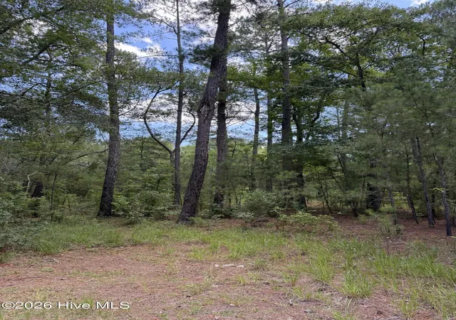 Photo 3 of Land for sale at 532 Old Hoover Brg Rd, Elizabethtown, NC 28337 | MLS# 100589365 | Listing updated on 2026-07-16