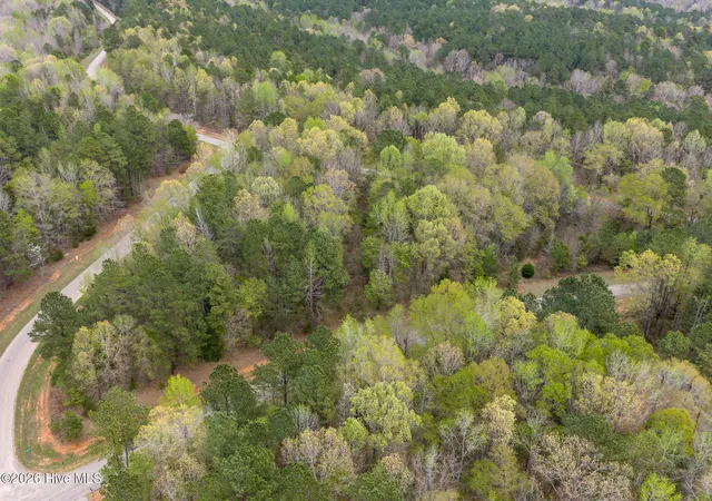 3rd image of 109 Azalea Trl, Rockingham, NC 28379 | MLS# 100563618