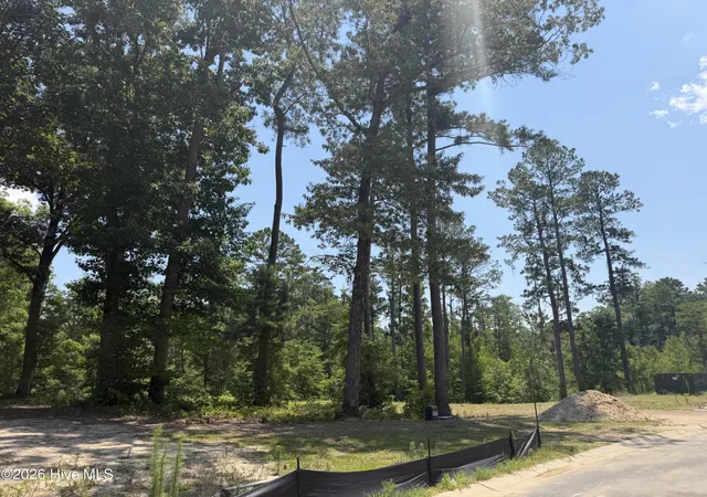 1st image of 3864 River Park Way Ne, Leland, NC 28451 | MLS# 100541691