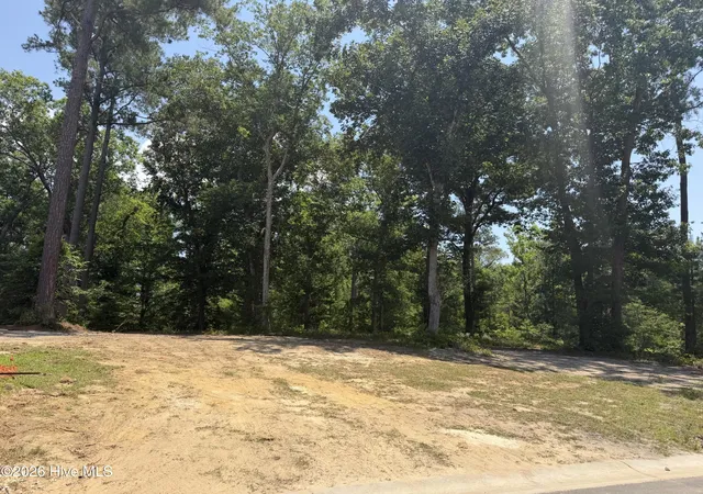 2nd image of 3864 River Park Way Ne, Leland, NC 28451 | MLS# 100541691