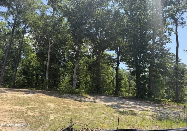 3rd image of 3864 River Park Way Ne, Leland, NC 28451 | MLS# 100541691