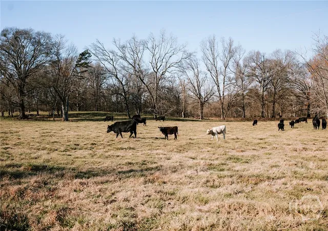 Homes for sale in Lexington, GA | 0 Ralph Bridges Rd, Lexington, GA 30648 | MLS# CL355142