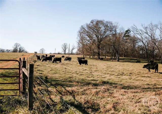 Homes for sale in Lexington, GA | 0 Ralph Bridges Rd, Lexington, GA 30648 | MLS# CL355142