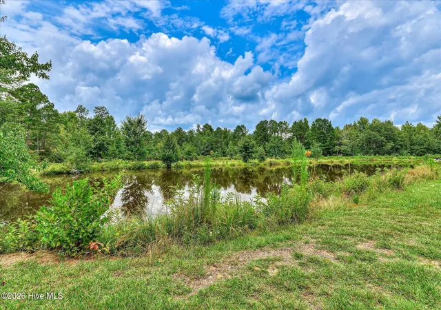 31st image of 1241 Farmers Bridge Rd, Keysville, GA 30816 | MLS# 100594934