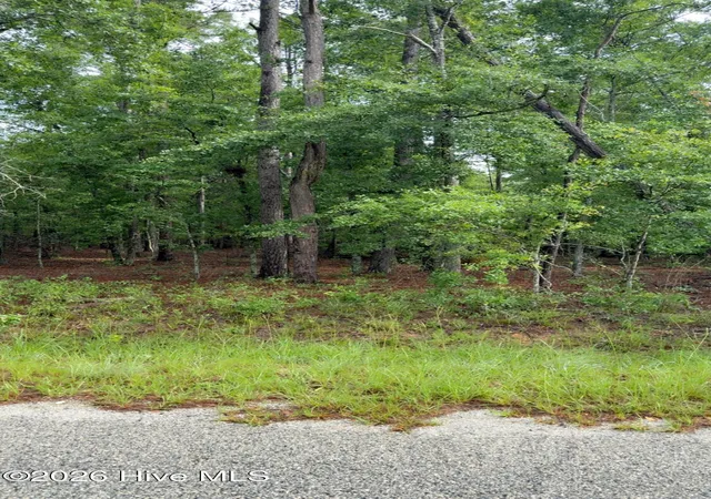Homes for sale in Waynesboro, GA | Lot 18 Long Horn, Waynesboro, GA 30830 | MLS# 100582345