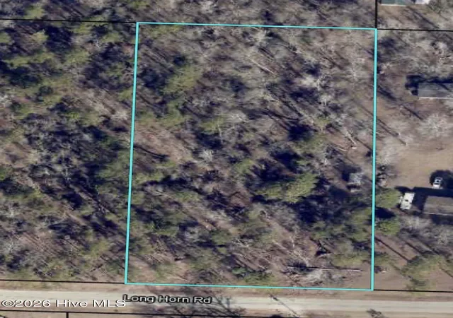Homes for sale in Waynesboro, GA | Lot 18 Long Horn, Waynesboro, GA 30830 | MLS# 100582345
