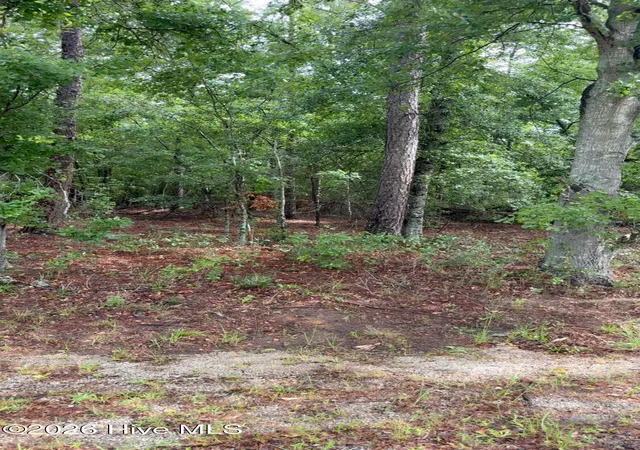 Homes for sale in Waynesboro, GA | Lot 18 Long Horn, Waynesboro, GA 30830 | MLS# 100582345