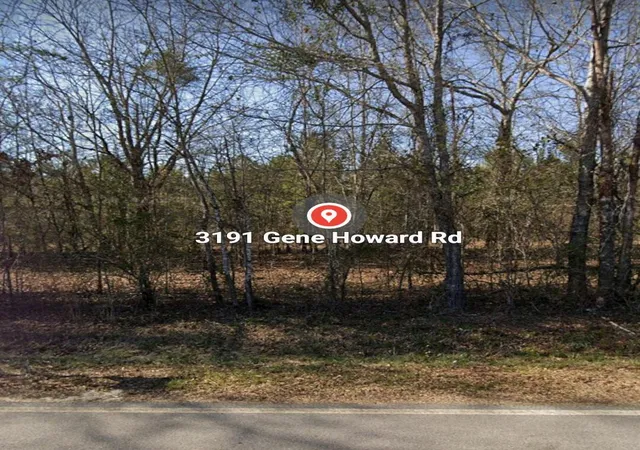 Homes for sale in Stapleton, GA | 3191 Gene Howard Rd, Stapleton, GA 30823 | MLS# 98212630