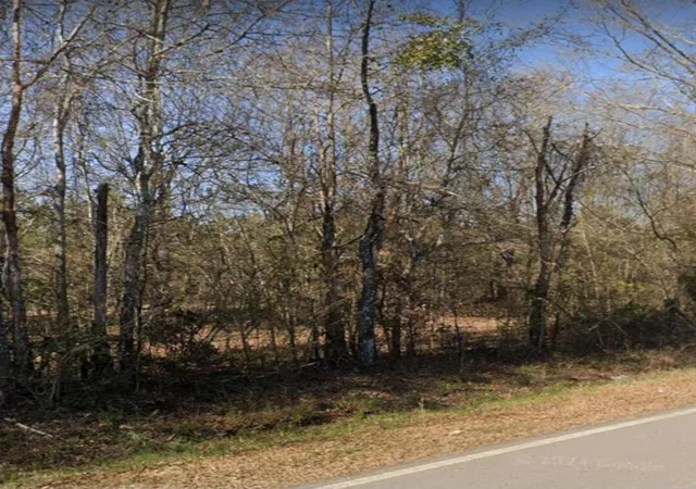 Homes for sale in Stapleton, GA | 3191 Gene Howard Rd, Stapleton, GA 30823 | MLS# 98212630