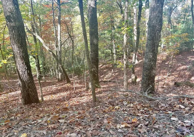 Photo 1 of Land for sale at Lot 4 Ridgeline, Brasstown, NC 28902 | MLS# 98544509 | Listing updated on 2026-07-21
