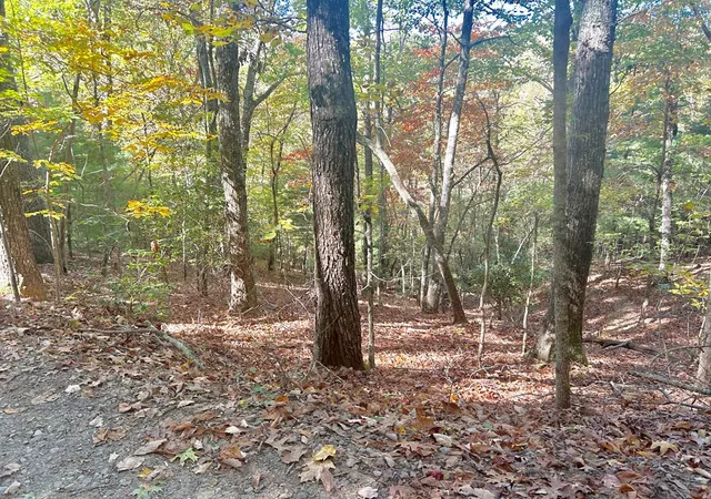 Photo 2 of Land for sale at Lot 4 Ridgeline, Brasstown, NC 28902 | MLS# 98544509 | Listing updated on 2026-07-21