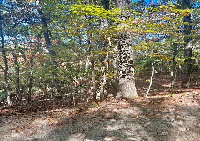 Photo 3 of Land for sale at Lot 4 Ridgeline, Brasstown, NC 28902 | MLS# 98544509 | Listing updated on 2026-07-21