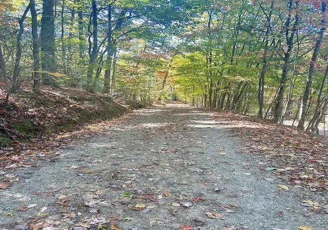 Photo 4 of Land for sale at Lot 4 Ridgeline, Brasstown, NC 28902 | MLS# 98544509 | Listing updated on 2026-07-21