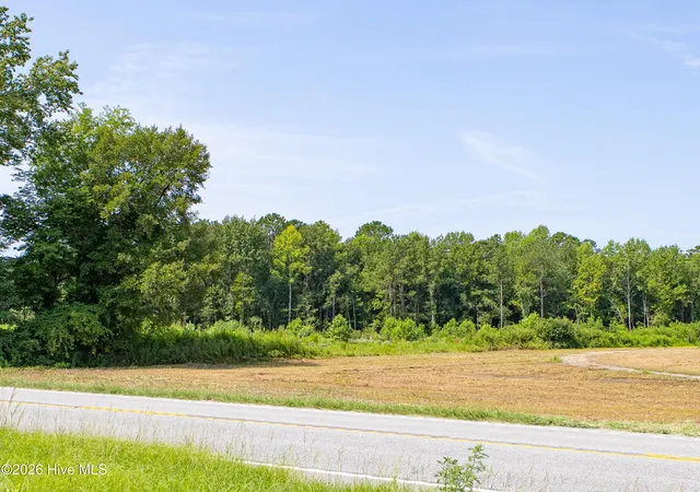 11th image of 8610 Joe Brown Hwy S, Clarendon, NC 28432 | MLS# 100596785