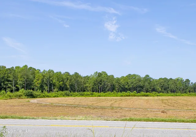 3rd image of 8610 Joe Brown Hwy S, Clarendon, NC 28432 | MLS# 100596785