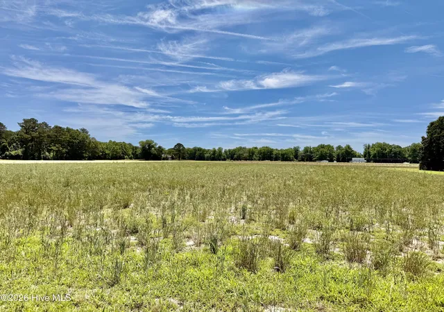 2nd image of 0 Kings Crossroads Rd, Fountain, NC 27829 | MLS# 100577960