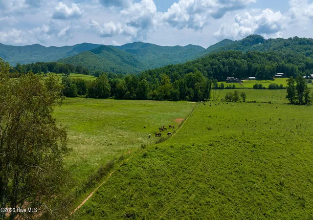 Photo 16 of Land for sale at 5120 Ac Bethabara Rd, Hayesville, NC 28904 | MLS# 100592915 | Listing updated on 2026-08-18