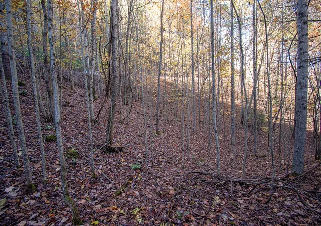 Homes for sale in Murphy, NC | 66 Choctaw Ridge Trl, Murphy, NC 28906 | MLS# 98525032
