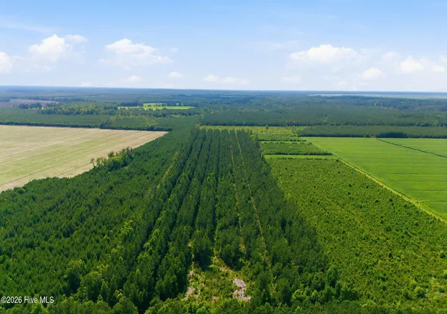 1st image of 0 Spain Farm Rd, Stonewall, NC 28583 | MLS# 100586619